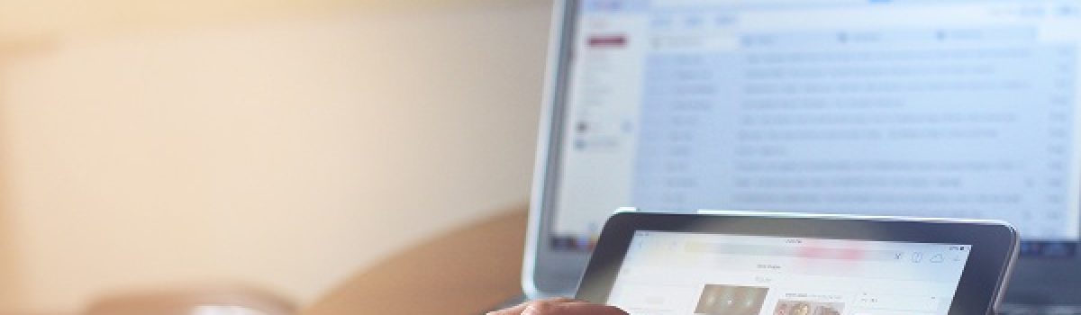 Pluriactivitat. Devolució de cotitzacions de la seguretat social.