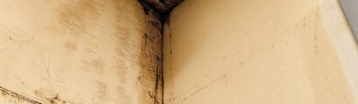 Humedades en vivienda arrendada